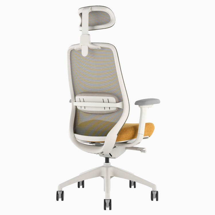 Desky Coilflex Ergonomic Office Chair