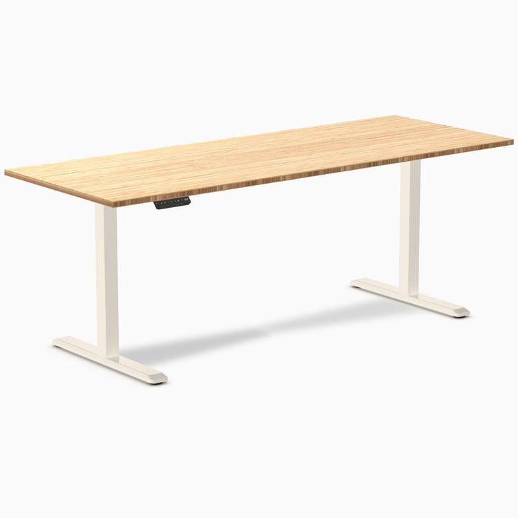 Desky Single Sit Stand Desk