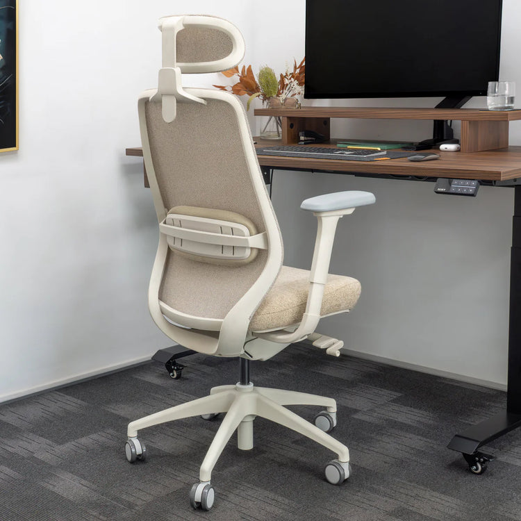 Almost Perfect Desky Coilflex Ergonomic Office Chair
