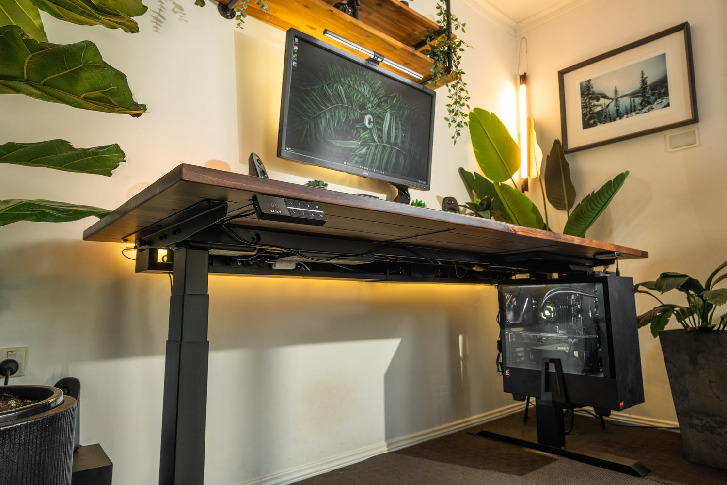 Standing Desks