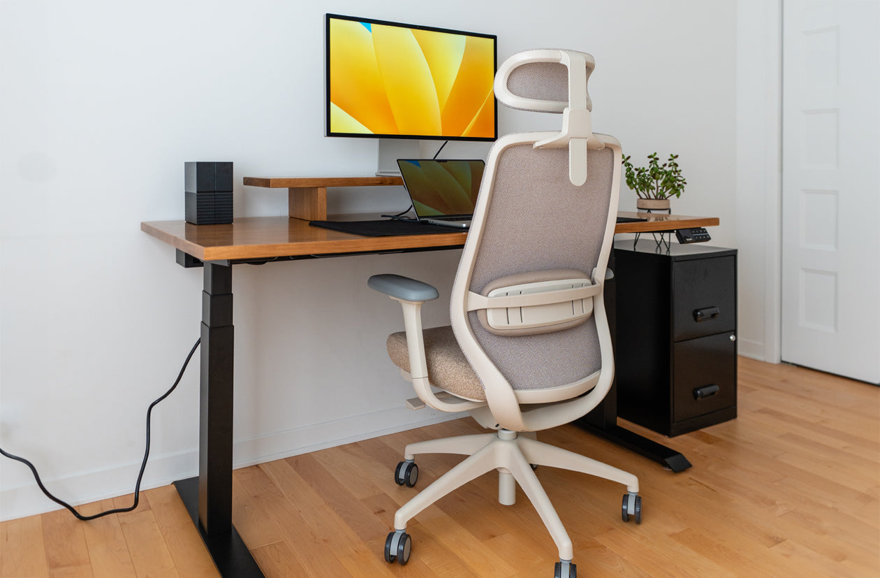 Ergonomic Chairs