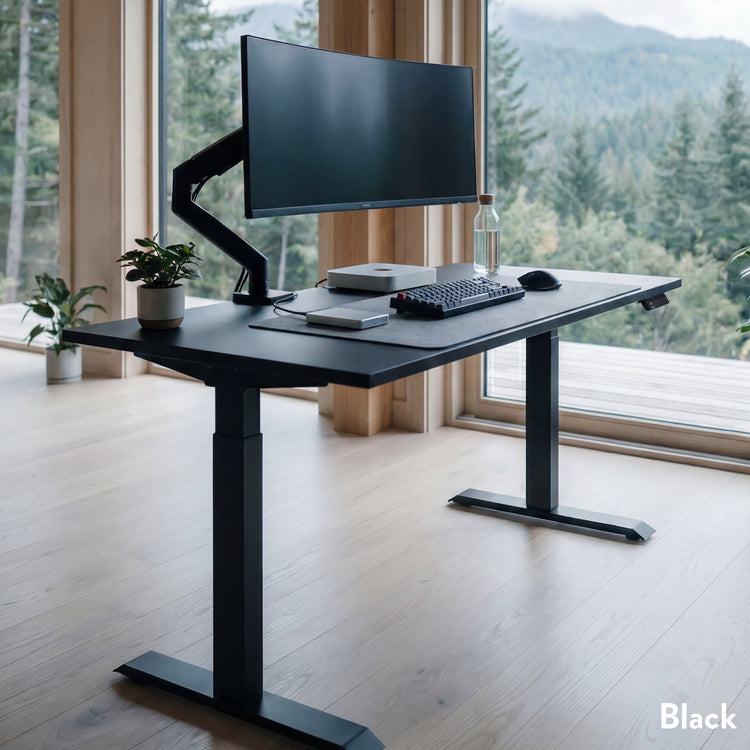 Desky Eco Single Sit Stand Desk Frame