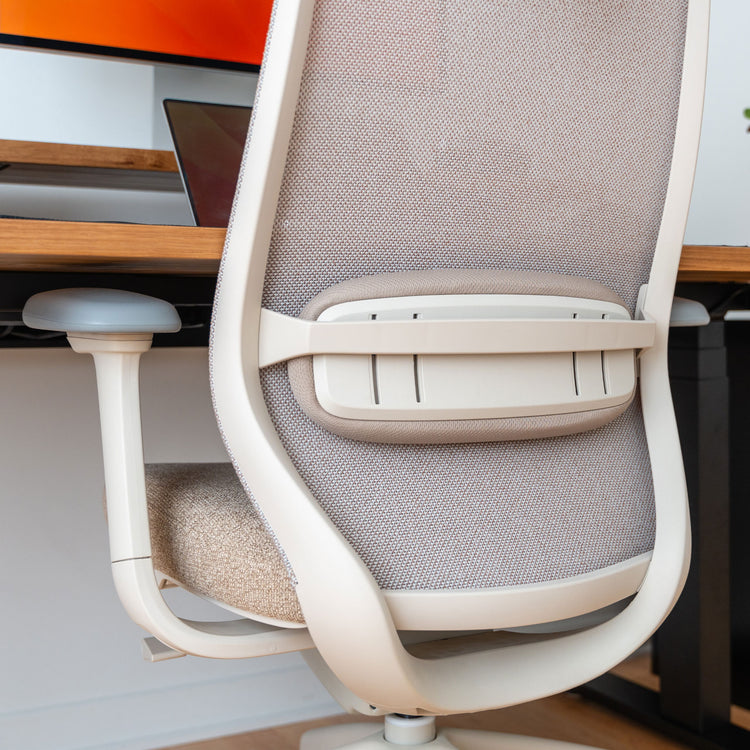 Desky Coilflex Ergonomic Office Chair