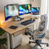 Desky Dual Laminate Sit Stand Desk-Desky®