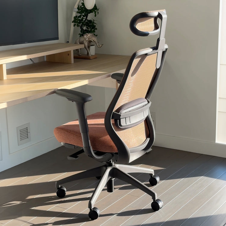 Desky Coilflex Ergonomic Office Chair