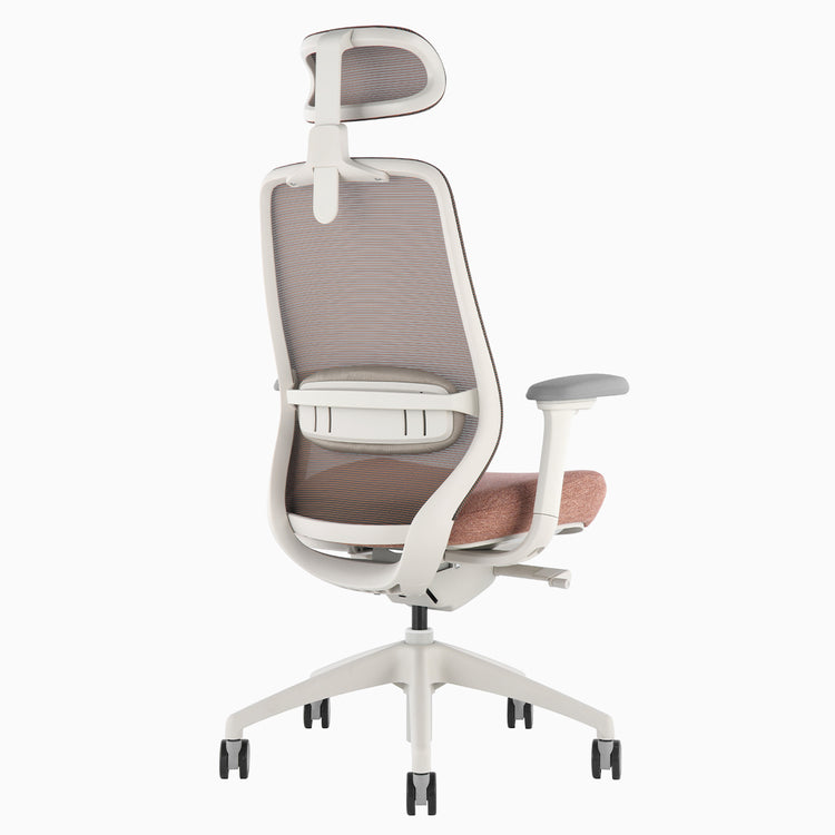 Desky Coilflex Ergonomic Office Chair