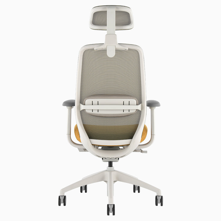 Desky Coilflex Ergonomic Office Chair