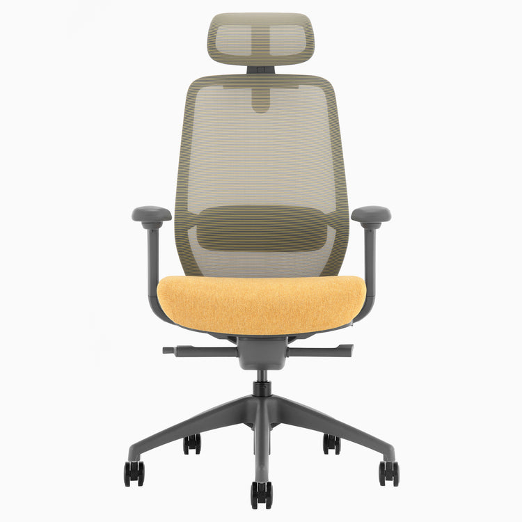Desky Coilflex Ergonomic Office Chair