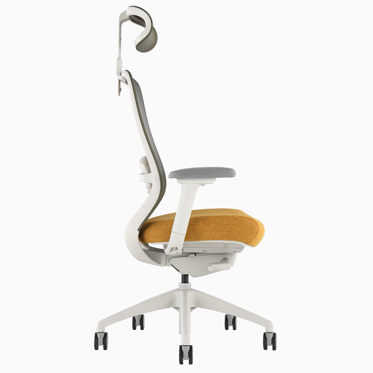Desky Coilflex Ergonomic Office Chair