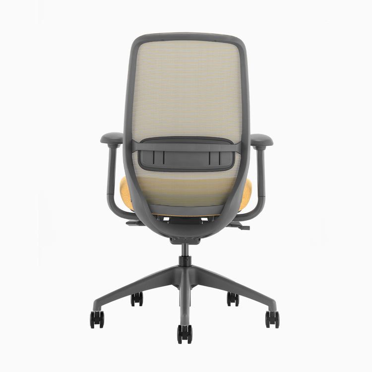 Desky Coilflex Ergonomic Office Chair