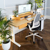 Desky Pulse Supportive Desk Chair WFH setup