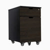 Desky black filing cabinet with two burnished wood drawers, one lockable, on casters.