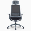 Desky Pulse Supportive Desk Chair 