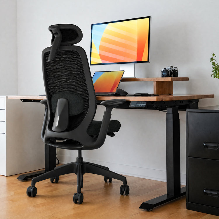 Desky Sereno Ergonomic Office Task Chair