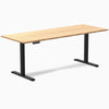 Desky Single Sit Stand Desk image 85