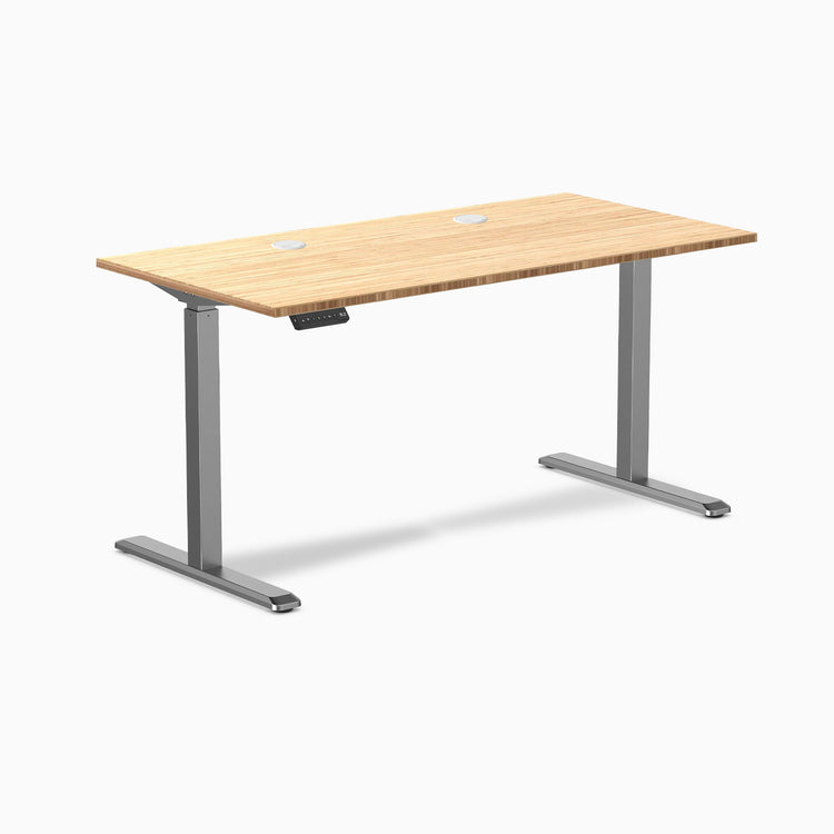 Desky Single Sit Stand Desk