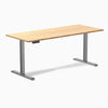 Desky Single Sit Stand Desk image 84
