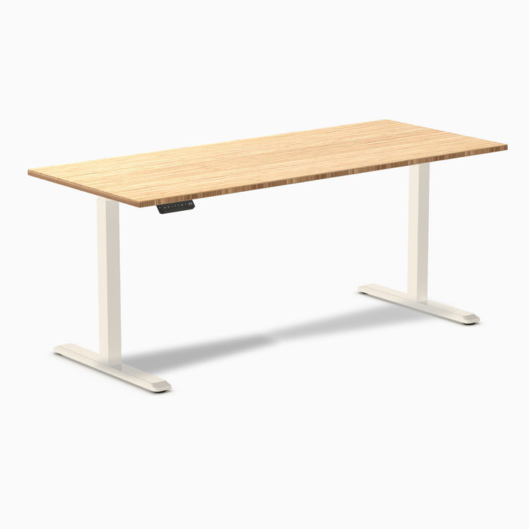 Desky Single Sit Stand Desk