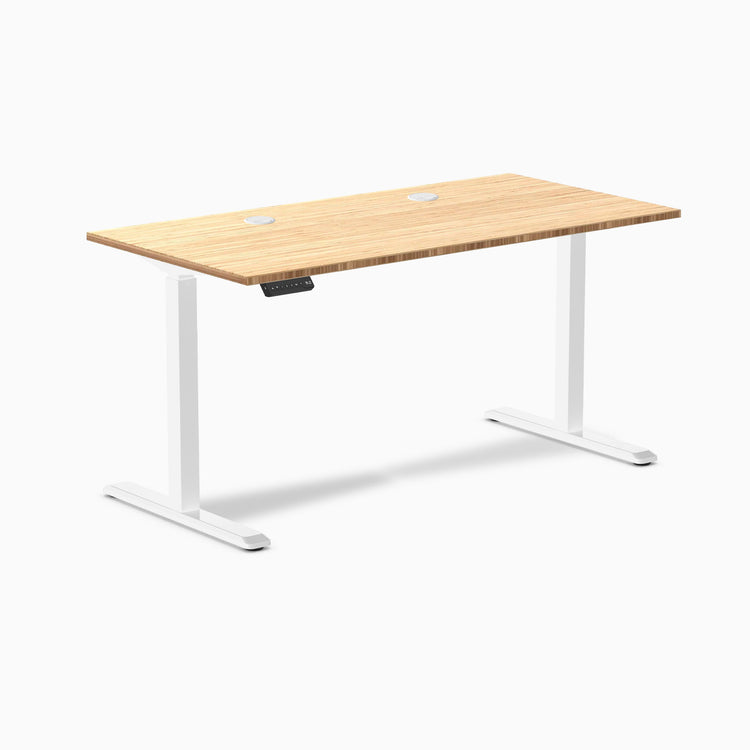 Desky Single Sit Stand Desk