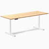 Desky Single Sit Stand Desk image 86