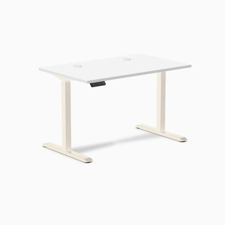 Desky Single Sit Stand Gaming Desk