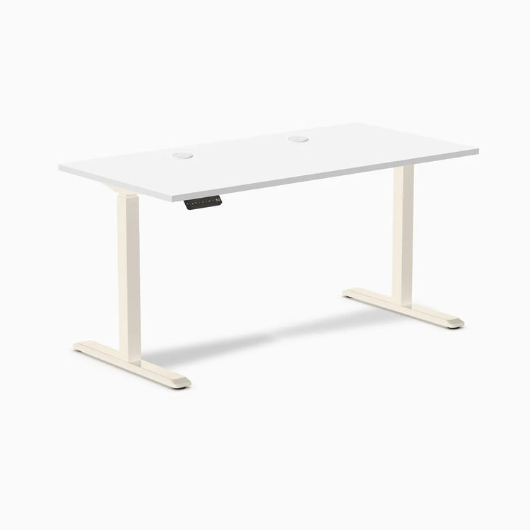 Desky Single Sit Stand Desk