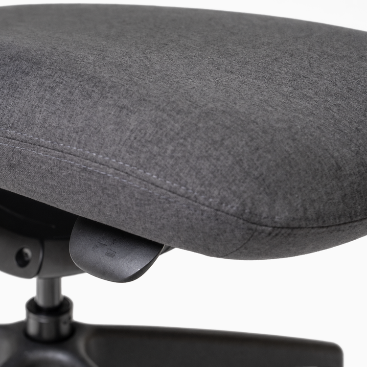 Desky Pivot Ergonomic Office Task Chair