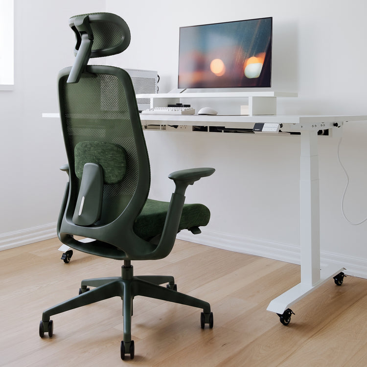 Desky Sereno Ergonomic Office Task Chair