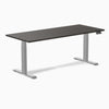 Desky Dual Laminate Sit Stand Desk-Desky®