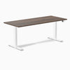 Desky Dual Laminate Sit Stand Desk-Desky®