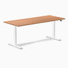 Desky Dual Laminate Sit Stand Desk-Desky®