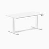 Desky Dual Laminate Sit Stand Desk-Desky®