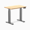 Desky Dual Mini Bamboo Sit Stand Desk-Desky®
